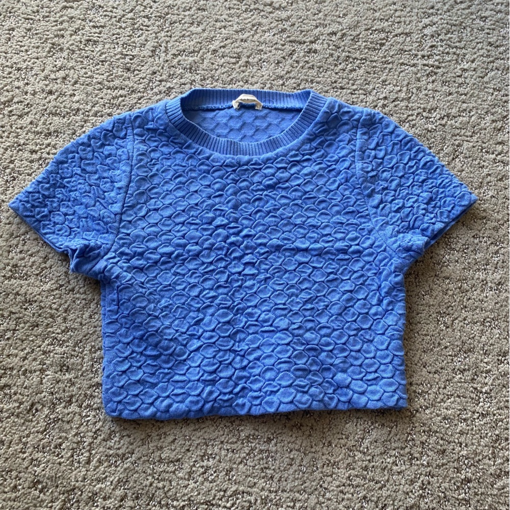 Debut Blue Crop Top Tee